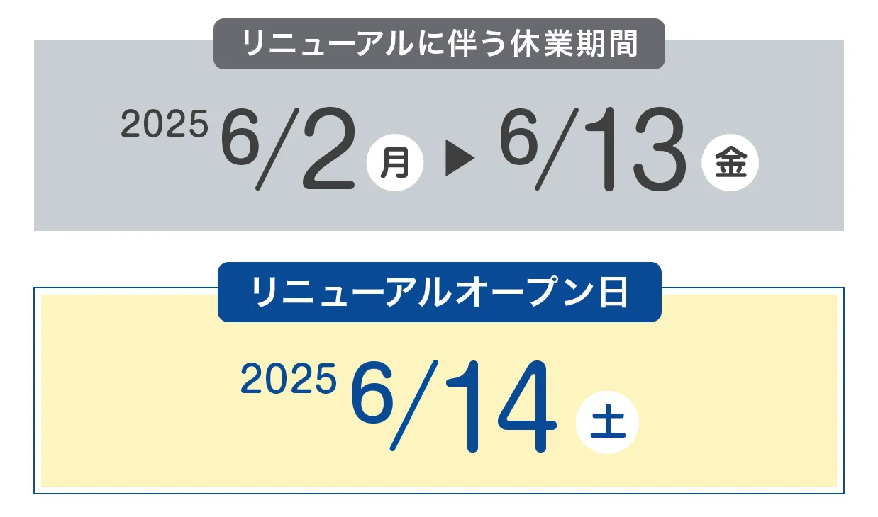 日付