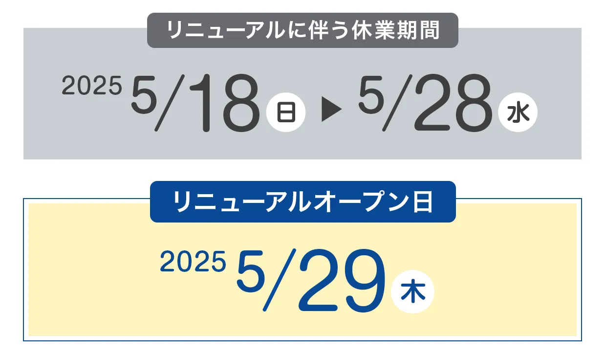 日付